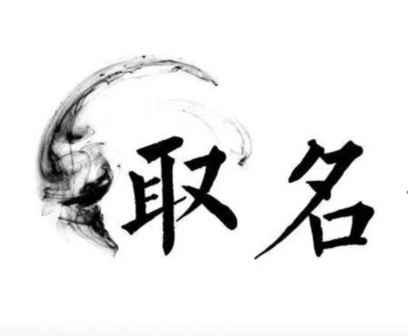  武侯宝宝取名 大师一对一人工起名
